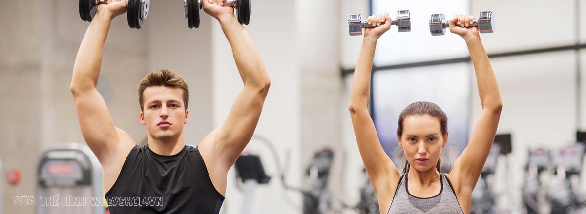 Cùng WheyShop tìm hiểu ngay 19 bài tập vai với tạ đơn tốt nhất mọi thời đại, giúp bạn sở hữu cơ vai săn chắc, toàn diện và hiệu quả ...