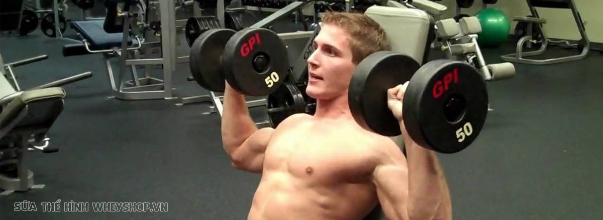 Cùng WheyShop tìm hiểu ngay 19 bài tập vai với tạ đơn tốt nhất mọi thời đại, giúp bạn sở hữu cơ vai săn chắc, toàn diện và hiệu quả ...