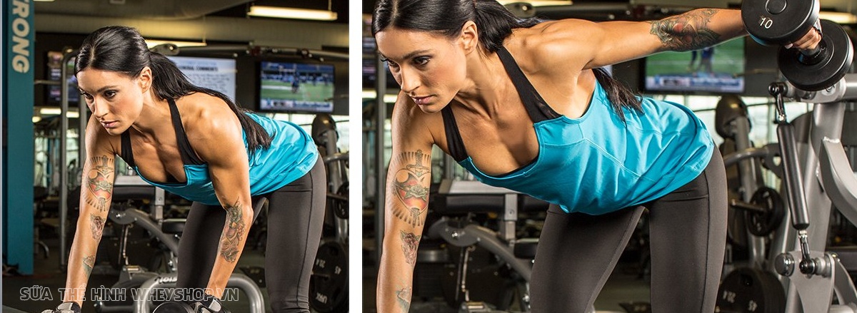 Cùng WheyShop tìm hiểu ngay 19 bài tập vai với tạ đơn tốt nhất mọi thời đại, giúp bạn sở hữu cơ vai săn chắc, toàn diện và hiệu quả ...
