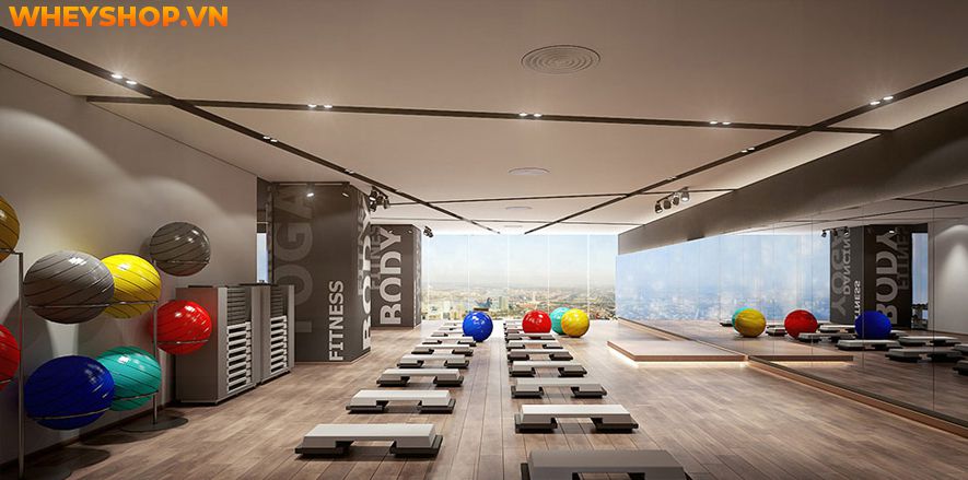 Địa chỉ phòng tập tập Yoga TpHCM vô cùng phong phú và đa dạng, điều này đôi khi khiến người muốn tập bối rối và không biết lựa chọn địa điểm nào phù hợp. Bài...
