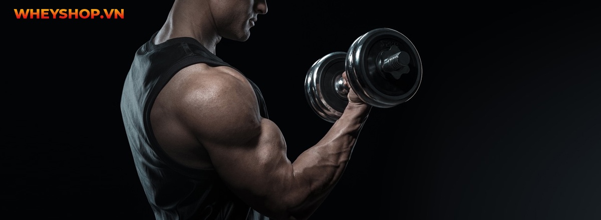 Superset là gì? Tìm hiểu chi tiết về Superset và cách áp dụng Superset hiệu quả nhất để tăng cơ bắp vượt trội hơn...