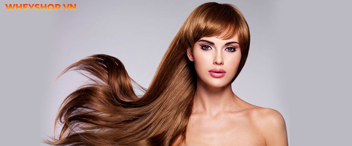 Nếu bạn đang tìm hiểu có nên sử dụng BƠ ĐẬU PHỘNG hay cùng thì hãy cùng WheyShop điểm qua 25 lợi ích tuyệt vời bất ngờ từ...