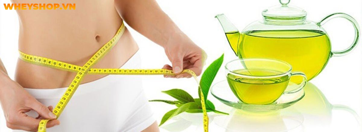 Trà xanh giảm cân hiệu quả không? Cùng WheyShop tìm hiểu ngay cách giảm cân với trà xanh hiệu quả qua bài viết....