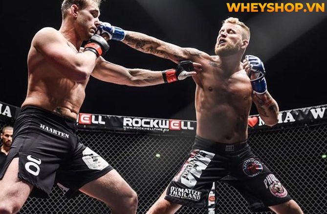 MMA là gì mà tại sao nhiều người lại biết đến và nhanh chóng trở nên phổ biến như vậy trên toàn thế giới? Hãy cùng WheyShop tìm hiểu tất cả những thông tin...
