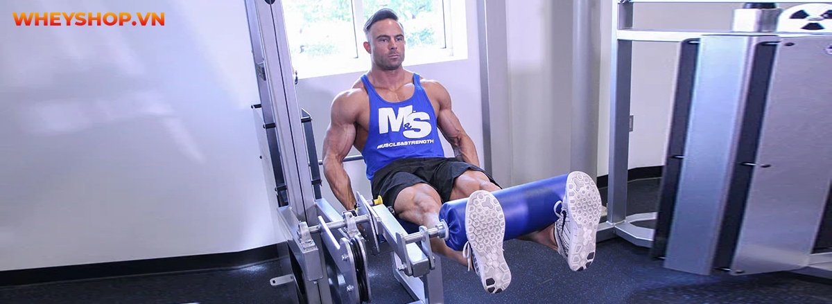 Tập bắp chân to tròn luôn là mơ ước của rất nhiều nam giới tập gym. Bắp chân to cân đối cùng cơ đùi, tạo dáng vẻ khỏe khoắn, nam tính. Tuy nhiên không phải...