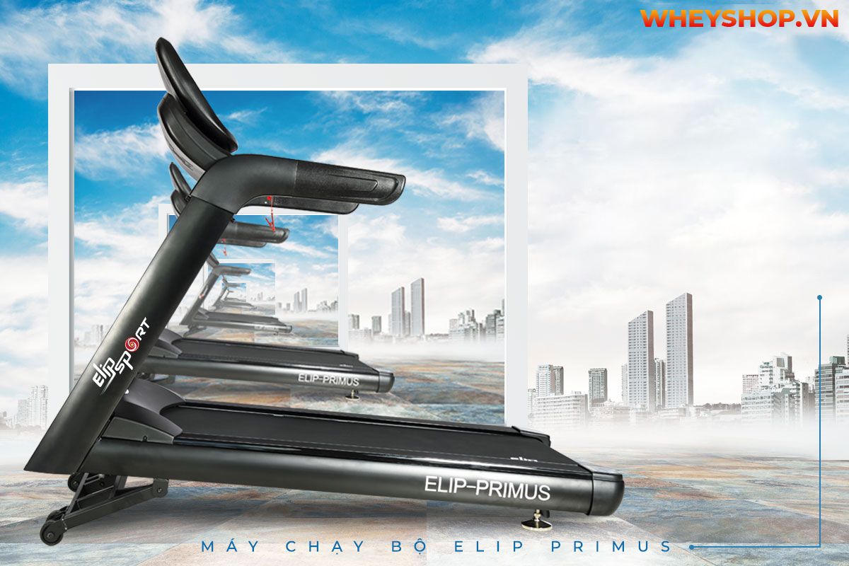 Nếu bạn đang thắc mắc nên mua máy chạy bộ Elip hay Kingsport thì tham khảo ngay bài viết review đánh giá chi tiết các máy chạy bộ...
