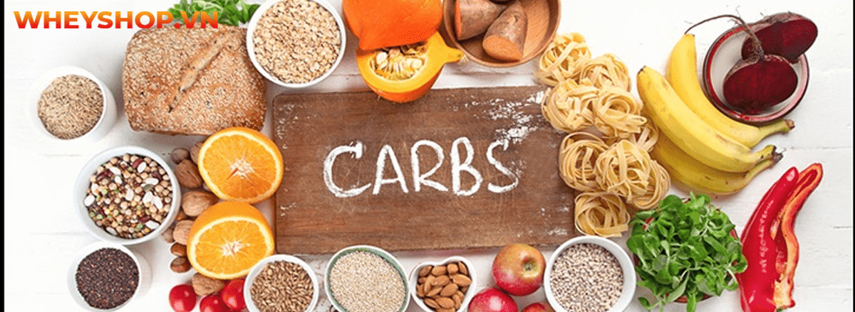 Carb là gì? Tìm hiểu chi tiết về carb cùng 15 sự thật về carb mà bạn chưa từng biết tới qua bài viết sau đây cùng WheyShop nhé ....
