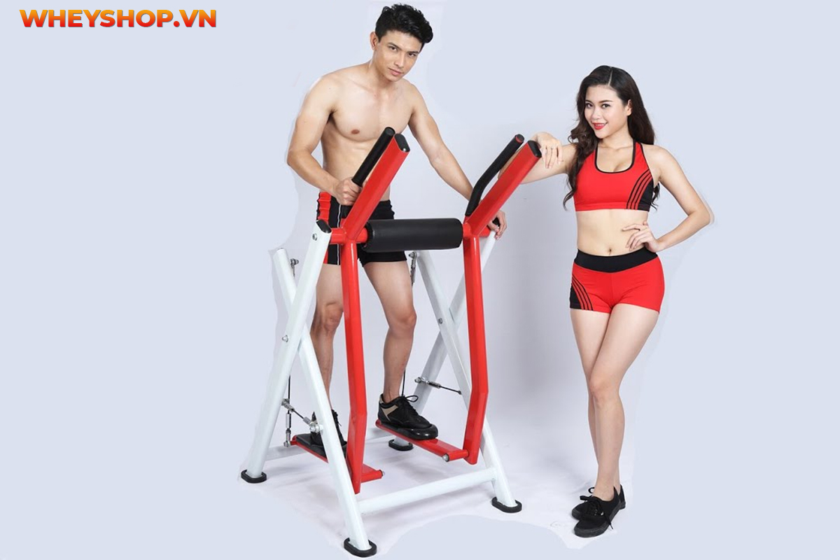 Nếu bạn đang thắc mắc nên mua máy chạy bộ Elip hay Kingsport thì tham khảo ngay bài viết review đánh giá chi tiết các máy chạy bộ...