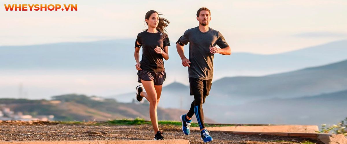 Cùng WheyShop tìm hiểu lý do tại sao chạy bộ bị đau bụng cùng 5 cách khắc phục tình trang chạy bộ bị đau bụng đơn giản, hiệu quả qua...