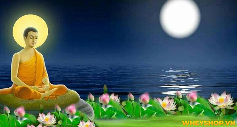 Thiền là một khái niệm không còn xa lạ ngày nay, nhưng trên thực tế, không phải ai cũng hiểu được bản chất thực của thiền. Vậy thiền là gì ? Ngồi thiền có...