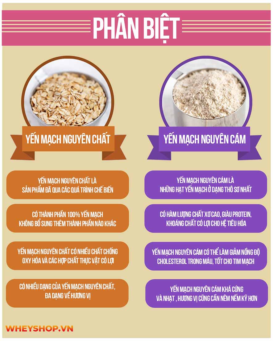 Phân biệt yến mạch nguyên chất và yến mạch nguyên cám. Sử dụng loại yến mạch nguyên chất có tốt không ? Chi tiết tại bài viết ...