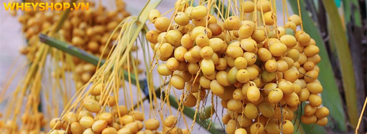 Nếu bạn đang băn khoăn tìm kiếm thực phẩm giàu chất xơ giảm cân thì hãy cùng WheyShop điểm qua 30 thực phẩm giàu chất xơ giảm cân trong bài..