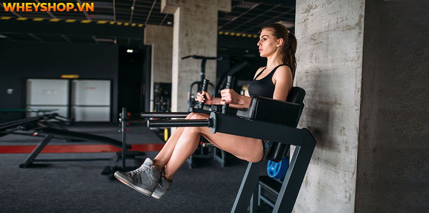 Nếu bạn đang băn khoăn tìm cách giảm cân thì hãy cùng WheyShop tham khảo 10+ cách làm Salad giảm cân đơn giản mà hiệu quả bất ngờ tại...