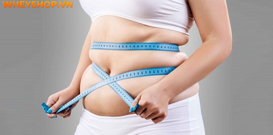 Nếu bạn đang tìm kiếm bài tập giảm cân trên giường thì hãy cùng WheyShop tham khảo ngay top 20 bài tập giảm cân trên giường hiệu quả nhất...