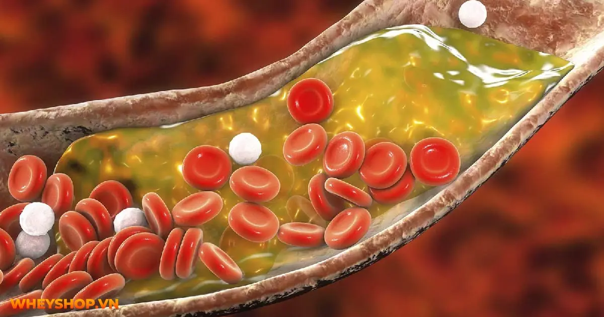 20-loi-ich-cua-dua-chuot-cho-suc-khoe-lam-dep-04-min