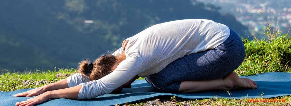 Các bài tập Yoga giảm mỡ bụng được rất nhiều chị ep áp dụng hiệu quả ? Tìm hiểu ngay các bài tập yoga giảm mỡ bụng giúp eo thon gọn qua bài viết của Wheyshop nhé.