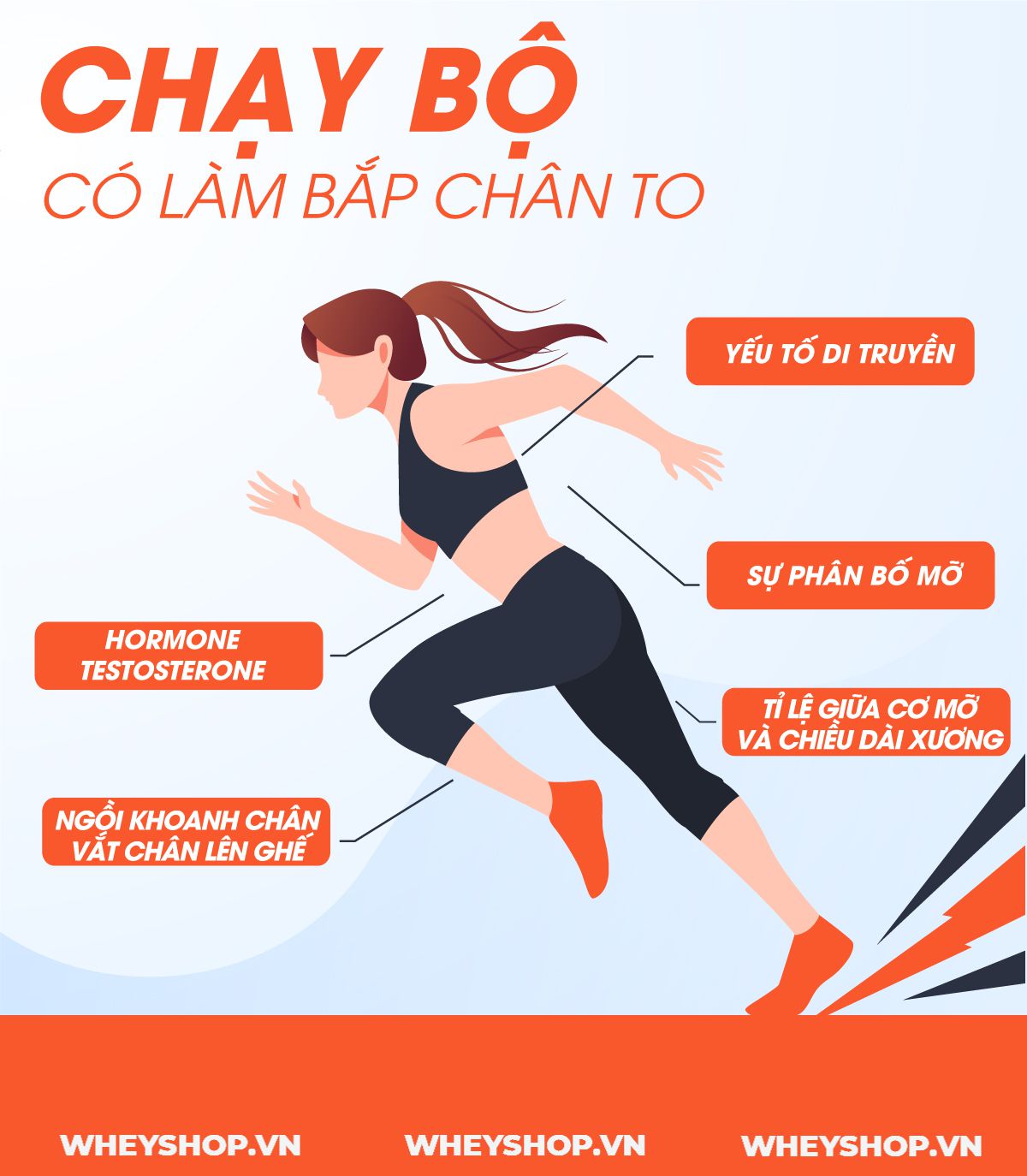 Nếu bạn đang băn khoăn thắc mắc về việc chạy bộ có làm to bắp chân không thì hãy cùng WheyShop tham khảo chi tiết ngay bài viết này...