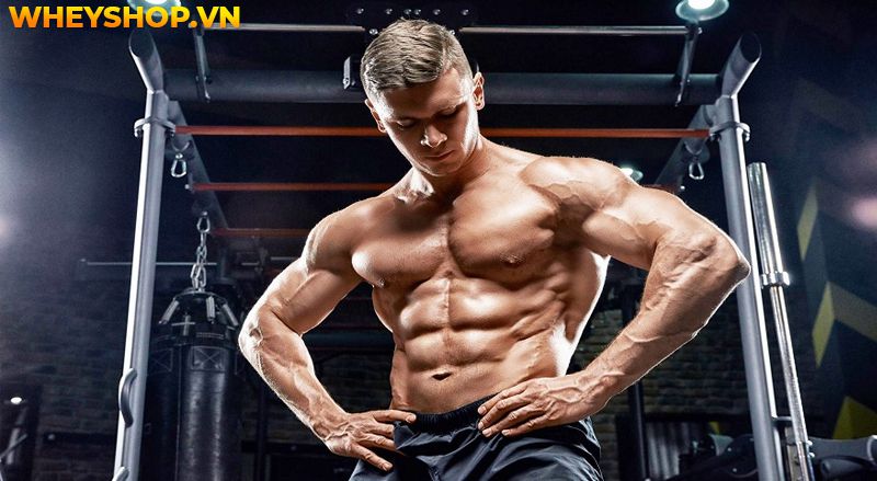 Nếu bạn đang tìm cách chống đẩy cho người mới tập thì hãy cùng WheyShop tham khảo chi tiết bài viết ngay sau đây...