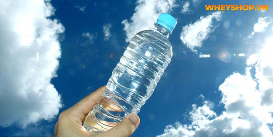 Mặt nọng luôn là nỗi lo của bất kỳ ai, cùng WheyShop tham khảo ngay 10 cách gúp bạn thoát khỏi mặt nọng đơn giản và hiệu quả ngay nhé...