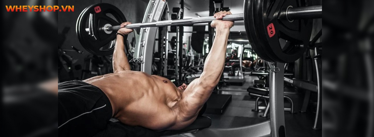 Superset là gì? Tìm hiểu chi tiết về Superset và cách áp dụng Superset hiệu quả nhất để tăng cơ bắp vượt trội hơn...