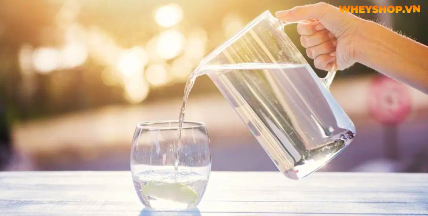 Nếu bạn đang phân vân trong việc tìm cách uống nước giảm cân thì hãy cùng WheyShop tham khảo ngay 5 cách lên lịch uống nước giảm cân...