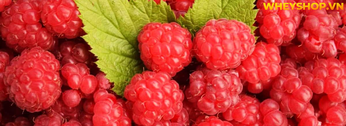 Nếu bạn đang băn khoăn tìm kiếm thực phẩm giàu chất xơ giảm cân thì hãy cùng WheyShop điểm qua 30 thực phẩm giàu chất xơ giảm cân trong bài..