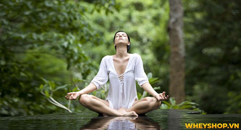 Thiền là một khái niệm không còn xa lạ ngày nay, nhưng trên thực tế, không phải ai cũng hiểu được bản chất thực của thiền. Vậy thiền là gì ? Ngồi thiền có...