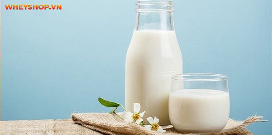 Uống sữa tươi không đường có béo không và câu trả lời giải đáp thắc mắc cho các bạn chi tiết trong bài viết sau đây ...