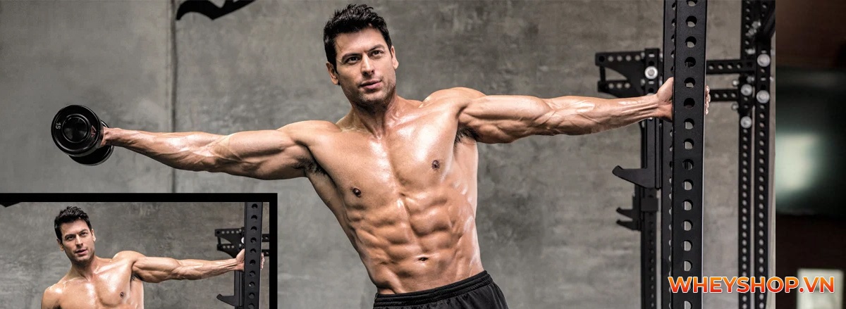 Tổng hợp 30 bài tập với tạ tay cho nam toàn diện hiệu quả nhất, tập luyện với tạ tay full body ...