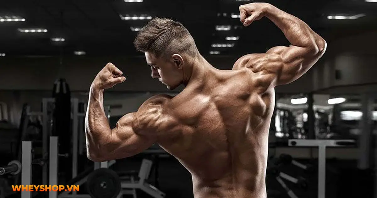 30-bai-tap-vai-tot-nhat-moi-thoi-dai-03-min