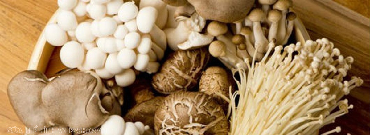 Cùng WheyShop tìm hiểu ngay top 30 thực phẩm giàu chất đạm protein tốt nhất dành cho người tập gym, tập thể hình bổ sung phát triển cơ bắp nhé ...