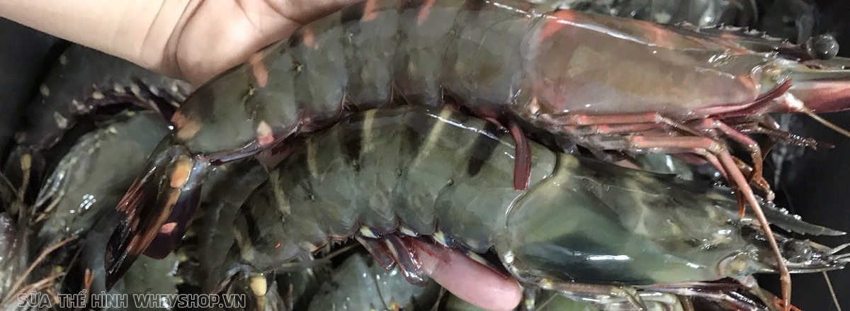 Cùng WheyShop tìm hiểu ngay top 30 thực phẩm giàu chất đạm protein tốt nhất dành cho người tập gym, tập thể hình bổ sung phát triển cơ bắp nhé ...