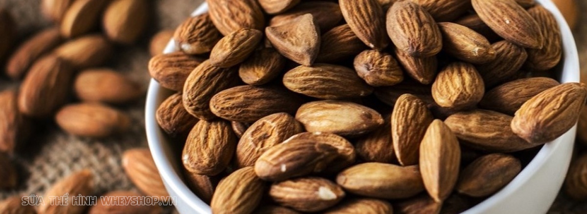 Chất béo đóng vai trò rất quan trọng duy trì cơ thể khỏe mạnh, phát triển toàn diện. Cùng WheyShop tìm hiểu top 30 thực phẩm giàu chất béo qua bài viết...