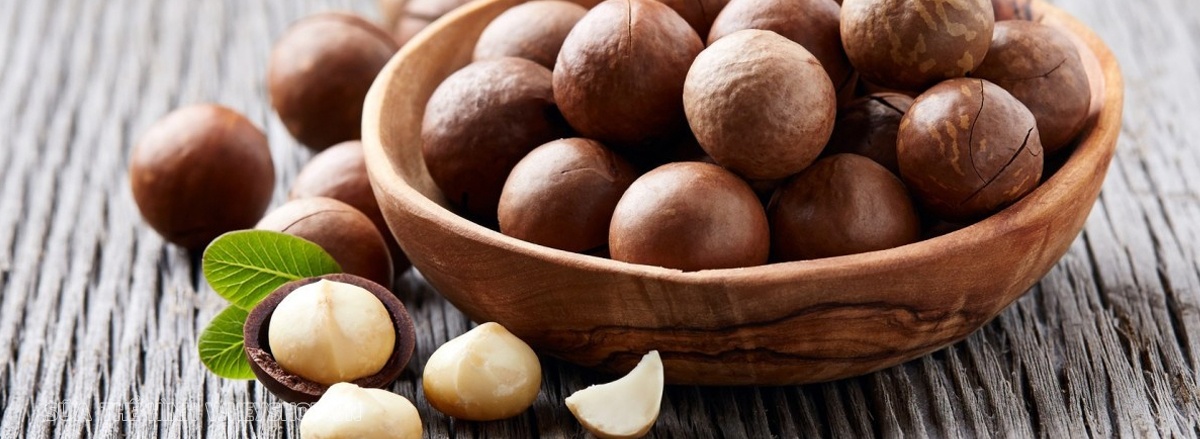 Chất béo đóng vai trò rất quan trọng duy trì cơ thể khỏe mạnh, phát triển toàn diện. Cùng WheyShop tìm hiểu top 30 thực phẩm giàu chất béo qua bài viết...