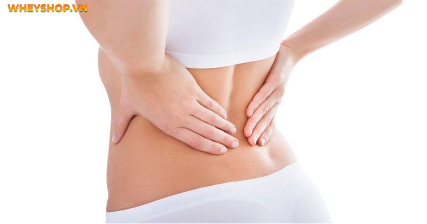 Bụng dưới to bất thường có thể là dấu hiệu cảnh báo cho thấy tình trạng sức khỏe của bạn đang gặp vấn đề. Cùng WheyShop tìm hiểu ngay chi tiết..
