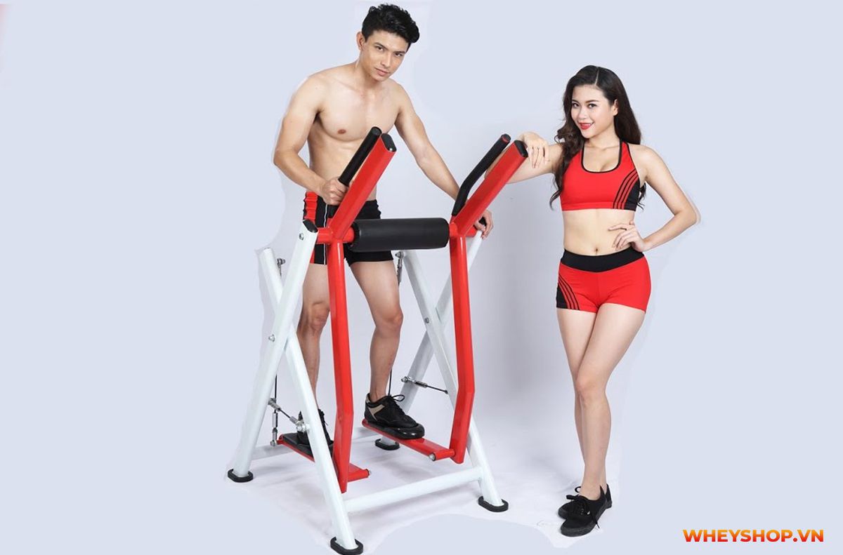 Nếu bạn đang quan tâm tìm hiểu và đánh giá máy chạy bộ Elip, tham khảo ngay bài viết review đánh giá top 7 máy chạy bộ Elip sau đây...