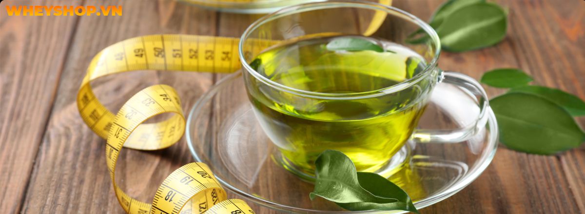 Trà xanh giảm cân hiệu quả không? Cùng WheyShop tìm hiểu ngay cách giảm cân với trà xanh hiệu quả qua bài viết....