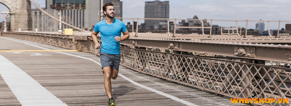 Bạn đã từng nghĩ tới việc chạy bộ 10km mỗi ngày chưa? Cùng WheyShop điểm qua 10 điều sẽ tới nếu bạn chạy bộ 10km mỗi ngày qua bài viết...
