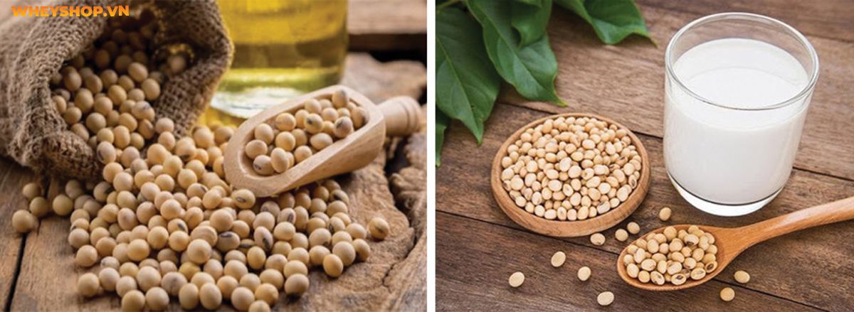 Nếu bạn đang băn khoăn tìm hiểu tác dụng của sữa đậu nành thì hãy cùng WheyShop điểm qua 10 lợi ích của sữa đậu nành khiến bạn ngỡ ngàng,...