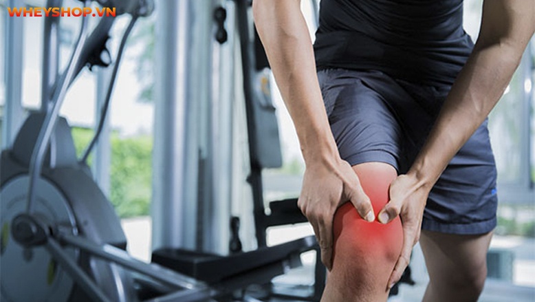 Bạn đã biết về khóa khớp là gì chưa? Khóa khớp có nguy hiểm không? Tìm hiểu ngay những tác hại và cách phòng tránh khóa khớp qua bài viết...