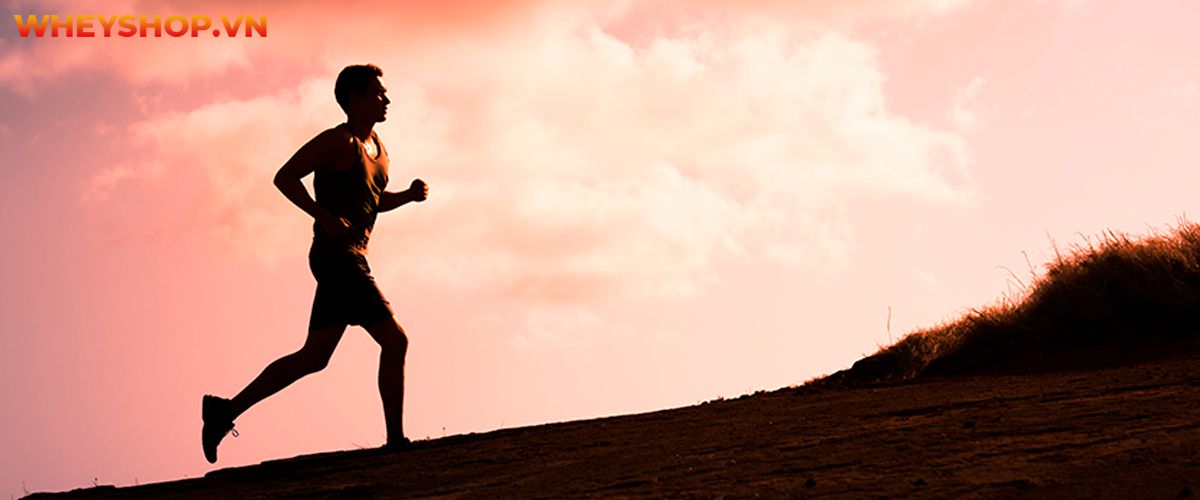 Cùng WheyShop tìm hiểu lý do tại sao chạy bộ bị đau bụng cùng 5 cách khắc phục tình trang chạy bộ bị đau bụng đơn giản, hiệu quả qua...