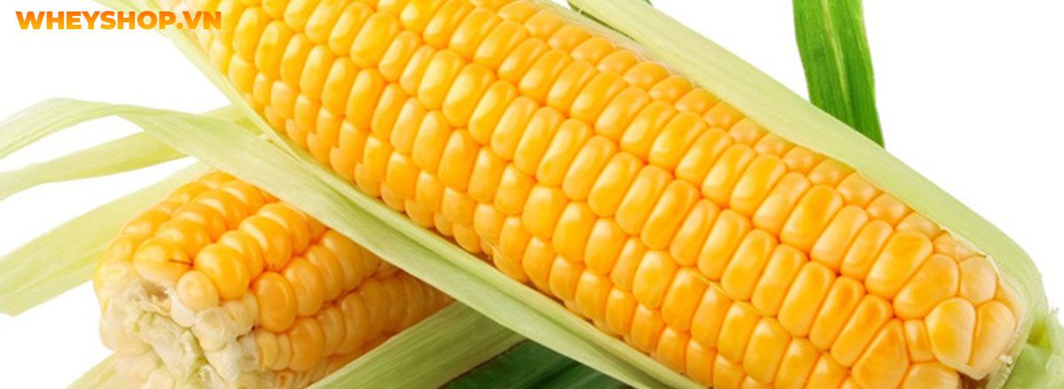 Tìm hiểu vai trò của thực phẩm giàu chất xơ đối với sức khỏe và top 30 thực phẩm giàu chất xơ tốt nhất mà WheyShop chia sẻ trong bài viết...