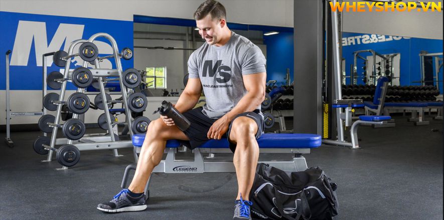 Pre-Workout Tăng Sức Mạnh là gì? Hôm nay Whey Shop sẽ cùng các bạn tìm hiểu dòng thực phẩm bổ sung tăng sức mạnh hỗ trợ buổi tập luyện trở nên hiệu quả hơn.