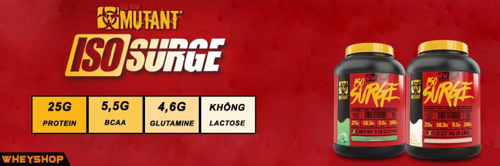 ISO Surge