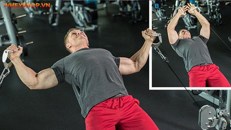 Bạn đã biết về khóa khớp là gì chưa? Khóa khớp có nguy hiểm không? Tìm hiểu ngay những tác hại và cách phòng tránh khóa khớp qua bài viết...