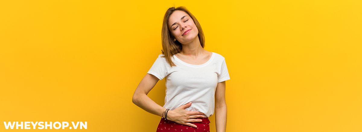 Chất xơ là gì? Chất xơ có lợi hay có hại với sức khỏe? Hãy cùng WheyShop tìm hiểu chi tiết về chất xơ qua bài viết...