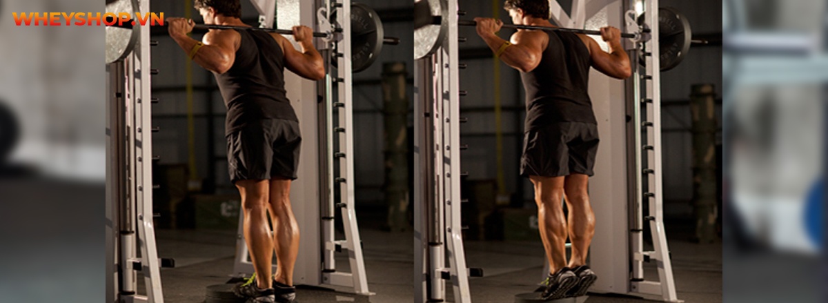 Tập bắp chân to tròn luôn là mơ ước của rất nhiều nam giới tập gym. Bắp chân to cân đối cùng cơ đùi, tạo dáng vẻ khỏe khoắn, nam tính. Tuy nhiên không phải...