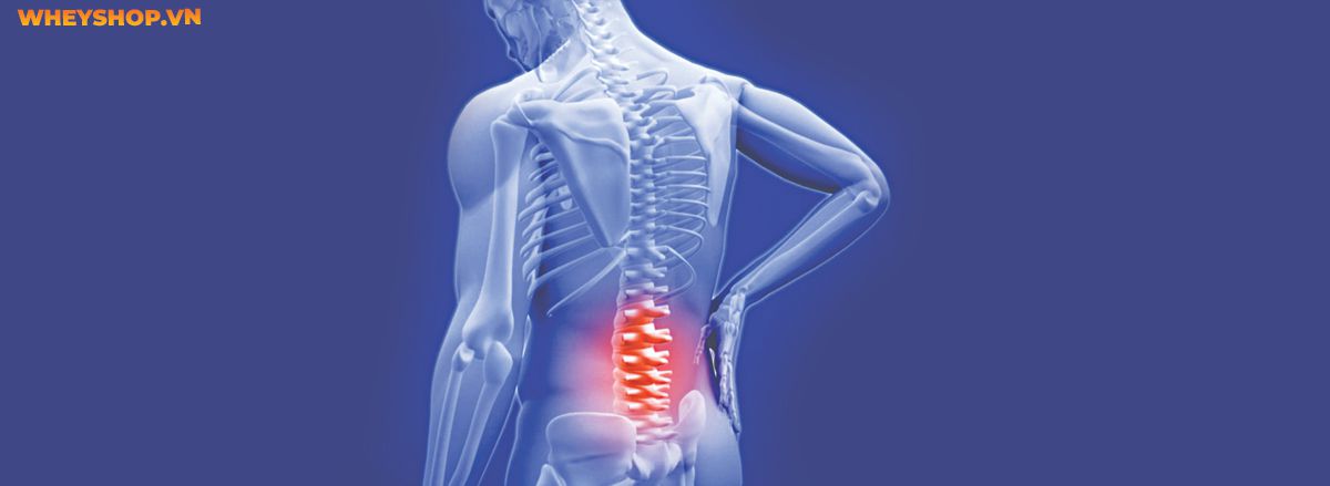 Nếu bạn đang băn khoăn tìm hiểu tác dụng của sữa đậu nành thì hãy cùng WheyShop điểm qua 10 lợi ích của sữa đậu nành khiến bạn ngỡ ngàng,...