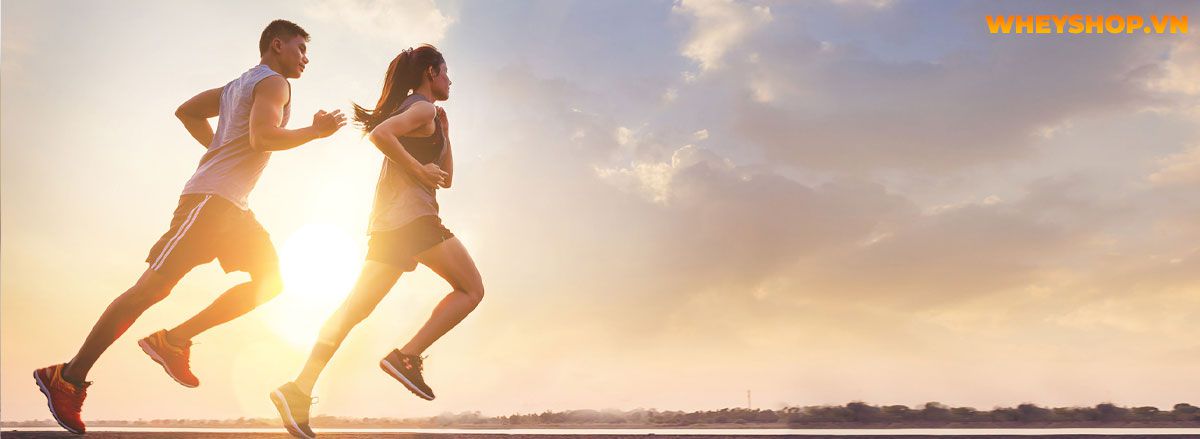 Nếu bạn có đang gặp tình trạng chạy bộ đau đầu gối thì đừng chủ quan, hãy tham khảo ngay bài viết sau đây cùng WheyShop để hiểu rõ hơn...