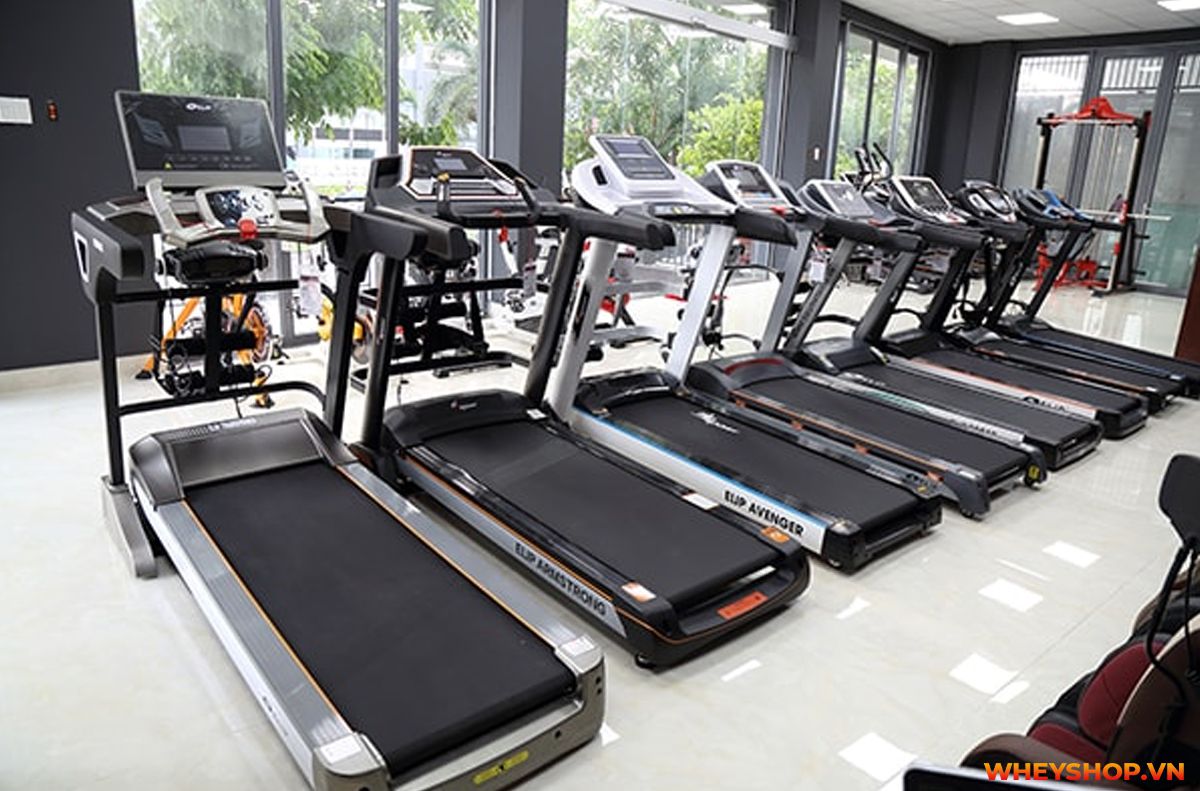 Nếu bạn đang băn khoăn trong việc lựa chọn máy chạy bộ Elip, hãy cùng WheyShop review đánh giá chi tiết về dòng máy chạy bộ này nhé...